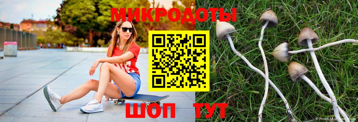 Псилоцибиновые грибы прущие грибы Чусовой