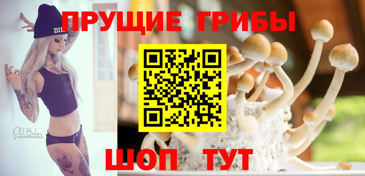 Чусовой  Псилоцибиновые грибы GOLDEN TEACHER  Вход с VPN 